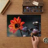 Turuncu Yıldız Çiçeği Tasarımı 240 Parça Ahşap Puzzle Ahşap Kutuda MP05473