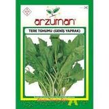 TURUNCUMEGA ARZUMAN TOHUM TERE (GENİŞ YAPRAKLI)