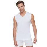 Tutku 401 V Yaka Ribana Spor Fanila Erkek Atlet