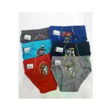 Tutku BRWEZCKLTC6 0138 Erkek Çocuk Renkli Slip Külot 12 Adet