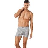 Tutku Erkek 3'lü Paket Desenli Penye Boxer, Çok Renkli, M