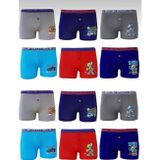 Tutku Erkek Çocuk 12"Li Karışık Desenli Elestan Pamuklu Boxer 0253