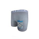 Tutku Erkek Çocuk Baskılı Boxer, Gri, 3 Yaş