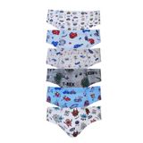 Tutku Erkek Çocuk Slip Külot, 6'lı Paket, Karışık Renkler, 5-6 Yaş