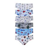 Tutku Erkek Çocuk Slip Külot, 6'lı Paket, Karışık Renkler, 9-10 Yaş