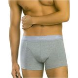 Tutku Erkek Elastan Boxer 1 Adet - 2XL - Gri