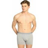 Tutku Erkek Gri Likralı Boxer 3'Lü