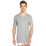 Tutku Erkek V Yaka T-Shirt, Gri, L Beden