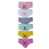 Tutku Kadın Dode Flora Tutku 832 Kız Çocuk Karışık Desenli Likralı Pamuklu 6'lı Slip Külot, Çok Renkli, 4