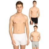 Tutku Pamuklu Likralı Paçalı Don 10'lu Karışık Renk Erkek Boxer