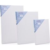 Tuval Seti 3 Lü 25X35 35X50 50X70 - Çok Renkli