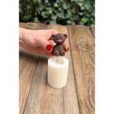 Tüylü Ayı Mini Silikon Mum Kalıbı - Çok Renkli