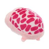 Ty Beanie Bebek – TY42145 – Teeny Tys Shuffler Kaplumbağa 8 cm – Pembe - Ahşap