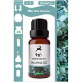TYC00803989142 Okaliptus Kokusu Buhurdanlık Yağı Aromaterapi Yağ Difizör Esansı Buhur Yağ Oda Kokusu 10Ml (Mrl)