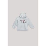 Tyess Bg Store Kız Çocuk Gri Sweatshirt - 2 - 3 Yaş