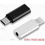Type C To 3.5Mm Kulaklık Çevirici 4491A Dönüştürücü Adaptör Ses A