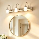 TZSMUM Yaratıcı retro duvar aydınlatması LED gümüş kuğu boynu döndürülebilir duvar lambası banyo aynası akrilik alüminyum demir duvar lambası iç dekorasyon yatak odası merdiven boşluğu için (nötr ışık
