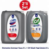 U-Pro Domestos Çamaşır Suyu ve Cif Yağ Sökücü 5 L 2’li Profesyonel Temizlik Seti