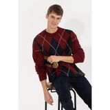 U.S. Polo Assn. 50256191-VR223 Vişne Triko Erkek Kazak