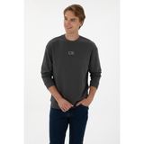 U.S. Polo Assn. Erkek Bisiklet Yaka Comfort Fit Antrasit Basic Sweatshirt 50313760-VR006