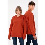 U.S. Polo Assn. Erkek Bisiklet Yaka Kiremit Basic Şardonlu Sweatshirt 50295148-vr031