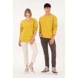 U.S. Polo Assn. Erkek Bisiklet Yaka Sarı Basic Şardonlu Sweatshirt 50295148-VR094 - Koyu Sarı