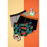 U.S. Polo Assn. Erkek Çocuk 3'lü Boxer 50301739-VR033