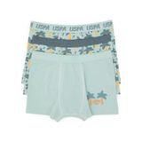 U.S. Polo Assn. Erkek Çocuk 3'lü Boxer Takım 50319388-VR048
