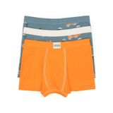 U.S. Polo Assn. Erkek Çocuk 3'lü Boxer Takım 50319395-VR051