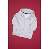 U.S. Polo Assn. Erkek Çocuk Açık Gri Fermuarlı Şardonlu Kapüşonlu Örme Hırka 50313852-VR001 - 4 - 5 Yaş