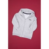 U.S. Polo Assn. Erkek Çocuk Açık Gri Örme Fermuarlı Kapüşonlu Hırka 50313852-VR001