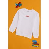 U.s. Polo Assn. Erkek Çocuk Beyaz Sweatshirt 50293567-vr013