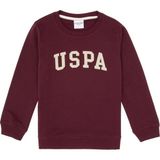 U.S. Polo Assn. Erkek Çocuk Bordo Basic Bisiklet Yaka Sweatshirt 50313830-VR177 - Plum Perfect - 6 - 7 Yaş