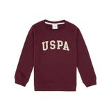 U.S. Polo Assn. Erkek Çocuk Bordo Basic Bisiklet Yaka Sweatshirt 50313830-VR177