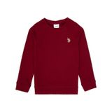U.S. Polo Assn. Erkek Çocuk Bordo Basic Bisiklet Yaka Sweatshirt 50313832-VR014