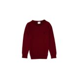 U.S. Polo Assn. Erkek Çocuk Bordo Bisiklet Yaka Basic Kazak 50315586-VR014