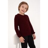 U.S. Polo Assn. Erkek Çocuk Bordo Bisiklet Yaka Basic Kazak 50315638-VR014