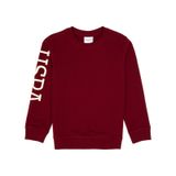 U.S. Polo Assn. Erkek Çocuk Bordo Bisiklet Yaka Basic Sweatshirt 50313831-VR014