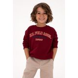 U.S. Polo Assn. Erkek Çocuk Bordo Bisiklet Yaka Sweatshirt 50313843-VR014 - 12 - 13 Yaş