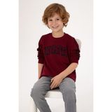 U.S. Polo Assn. Erkek Çocuk Bordo Bisiklet Yaka Sweatshirt 50316537-VR014 - 10 - 11 Yaş