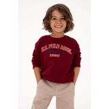 U.S. Polo Assn. Erkek Çocuk Bordo Sweatshirt 50313843-VR014