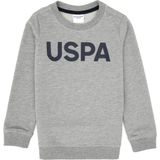 U.S. Polo Assn. Erkek Çocuk Gri Melanj Basic Bisiklet Yaka Sweatshirt 50307801-VR086 - Grimelanj - 10 - 11 Yaş