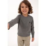 U.S. Polo Assn. Erkek Çocuk Gri Melanj Bisiklet Yaka Basic Kazak 50315586-VR086