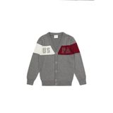 U.S. Polo Assn. Erkek Çocuk Gri Melanj Hırka (Triko) 50317115-VR086