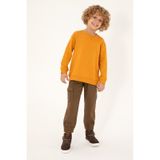 U.s. Polo Assn. Erkek Çocuk Haki Pantolon Kanvas-chino 50298581-vr027 Haki