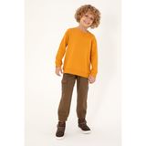 U.s. Polo Assn. Erkek Çocuk Haki Pantolon (Kanvas-Chino) 50298581-VR027, Yeşil, 10-11 Yaş