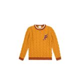 U.S. Polo Assn. Erkek Çocuk Hardal Bisiklet Yaka Kazak 50315587-VR151