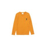 U.S. POLO ASSN. Erkek Çocuk Kazak/triko 50293535
