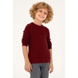 U.S. POLO ASSN. Erkek Çocuk Kazak/triko 50293551