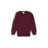 U.S. Polo Assn. Erkek Çocuk Kazak/Triko 50317136